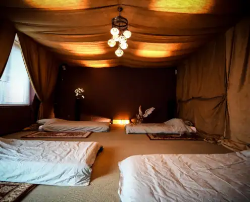 Innerlijke-Reizen-Twee-of-driedaagse-retraite_03 Plantmedicijn retraite Culemborg