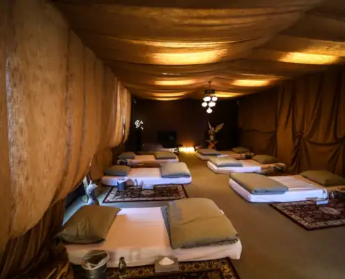 Innerlijke-Reizen-Twee-of-driedaagse-retraite_06 Plantmedicijn retraite Culemborg