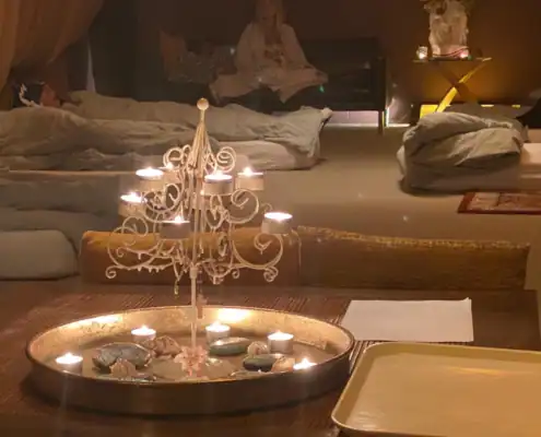 Innerlijke-Reizen-Twee-of-driedaagse-retraite_07 Plantmedicijn retraite Culemborg