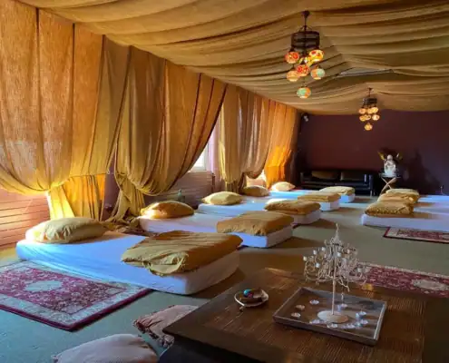 Innerlijke-Reizen-Twee-of-driedaagse-retraite_08 Plantmedicijn retraite Culemborg