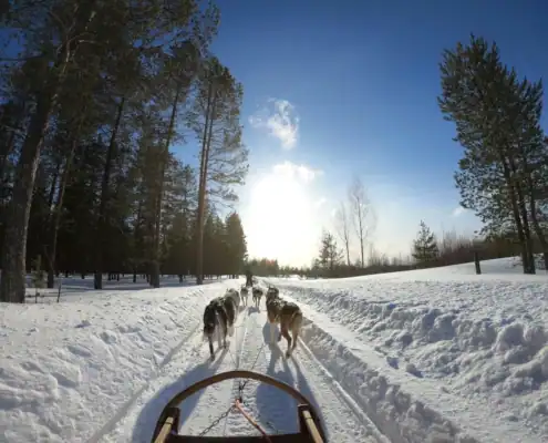 Lapland_landscape-012