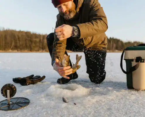 Lapland_landscape-020