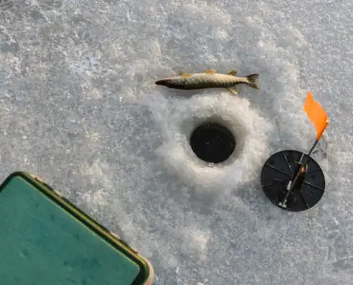 Lapland_landscape-021