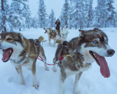 Lapland_landscape-022