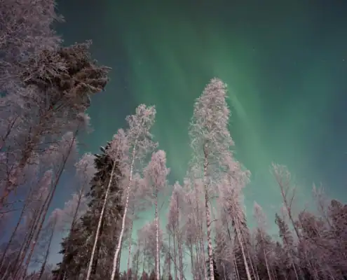 Lapland_landscape-024