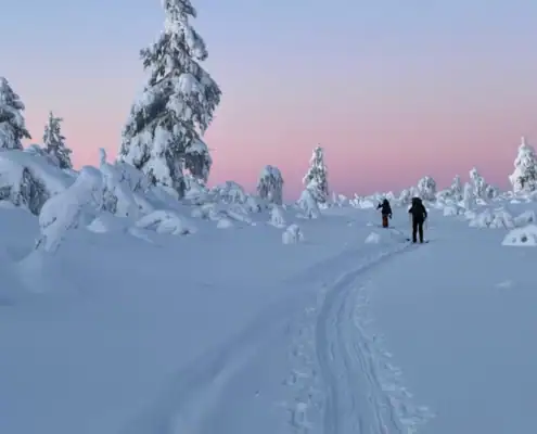 Lapland_landscape-04