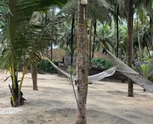 gezondheidsreis Kerala-04