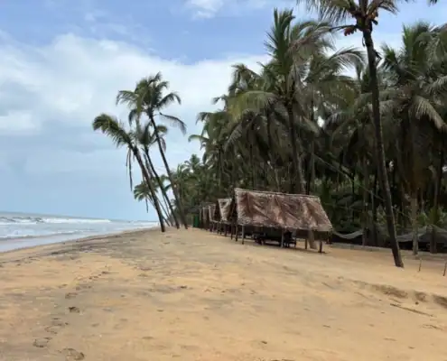 gezondheidsreis Kerala-06